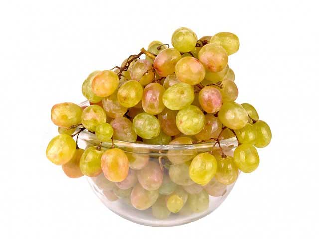 手机号炸弹防护业务