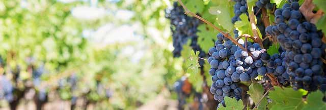 短信压力测试器免费网页版